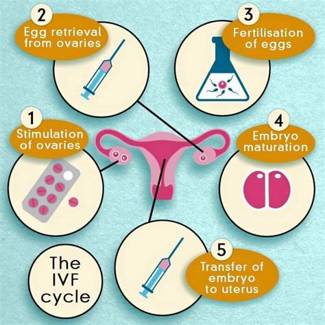 test tube baby process